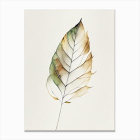 Birch Leaf Minimalist Watercolour Canvas Print