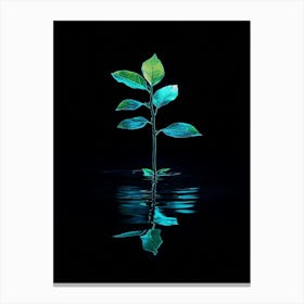 Reflection Of A Leaf In Water Canvas Print