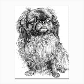 Pekingese Dog Line Sketch 3 Canvas Print