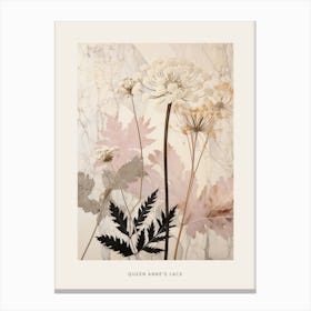 Flower Illustration Queen Annes Lace 5 Poster Canvas Print