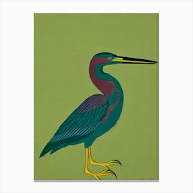 Green Heron Midcentury Illustration Bird Canvas Print