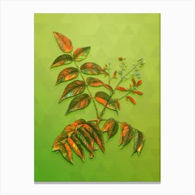 Vintage Tree Of Heaven Botanical Art on Love Bird Green n.1094 Canvas Print