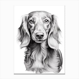 Dachshund Dog, Line Drawing 3 Canvas Print