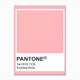 Pantone Pink Canvas Print