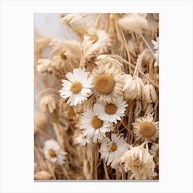 Boho Dried Flowers Daisy 4 Canvas Print