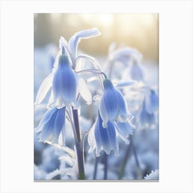 Frosty Botanical Bluebell 1 Canvas Print