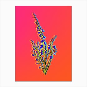 Neon White Broom Botanical in Hot Pink and Electric Blue Canvas Print