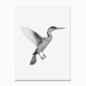 Cormorant B&W Pencil Drawing 2 Bird Canvas Print