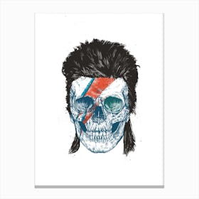 Bowie's Skull Canvas Print