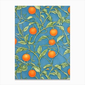 Tangerine Vintage Botanical Fruit Canvas Print