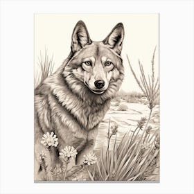Gray Wolf Vintage Drawing 4 Canvas Print
