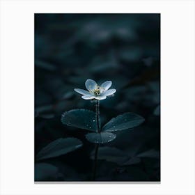 Flower In The Dark 8 Canvas Print