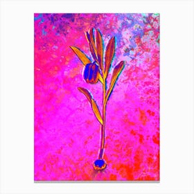 Fritillaria Latifolia Botanical in Acid Neon Pink Green and Blue n.0362 Canvas Print