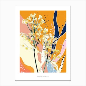 Colourful Flower Illustration Poster Gypsophila 1 Canvas Print