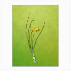 Vintage Daffodil Botanical Art on Love Bird Green n.1148 Canvas Print