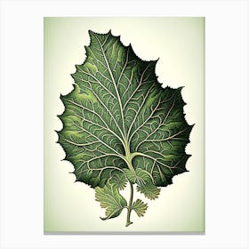 Madder Leaf Vintage Botanical 2 Canvas Print