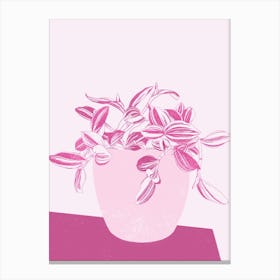 Nanouk Pink Potted Plant Canvas Print