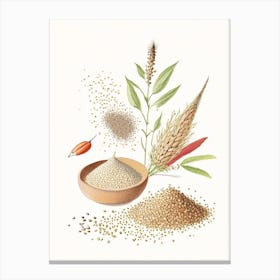 Sesame Seeds Spices And Herbs Pencil Illustration 1 Canvas Print