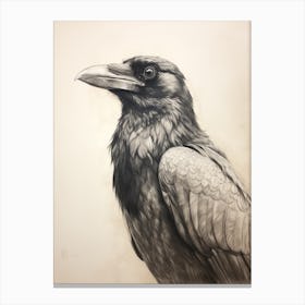 Vintage Bird Drawing Raven 1 Canvas Print