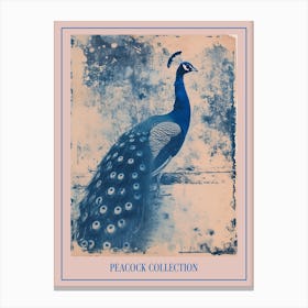 Blue & Sepia Cyanotype Inspired Peacock Poster Canvas Print