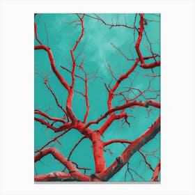 Bare Tree 1 Canvas Print