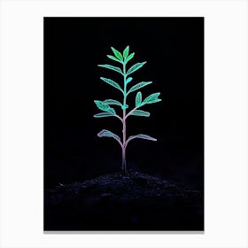 Plant Growing In The Dark 28 Canvas Print