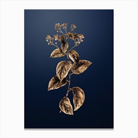 Gold Botanical New Jersey Tea on Midnight Navy n.0831 Canvas Print