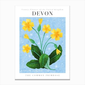 County Flower of Devon The Primrose Canvas Print