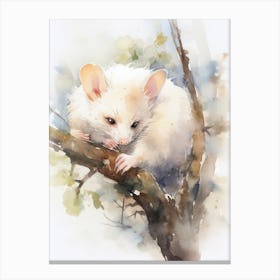 Light Watercolor Painting Of A Sleeping Possum 5 Canvas Print