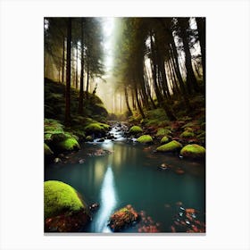 Mossy Forest 13 Canvas Print