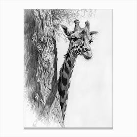 Giraffe Scratching Against A Tree Pencil Drawing 3 Canvas Print