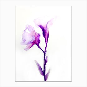 Purple Softness Canvas Print