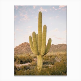 Huge Saguaro Cactus Canvas Print