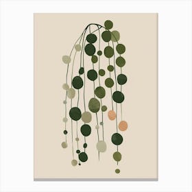 String Of Pearls Plant Minimalist Illustration 3 Canvas Print