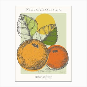 Citrus Collection Orange Fruit Canvas Print