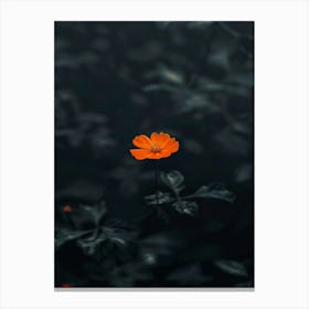 Single Orange Flower 17 Canvas Print