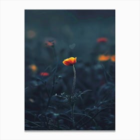 Single Flower In A Field Canvas Print