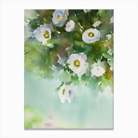 Giant Plumose Anemone Storybook Watercolour Canvas Print