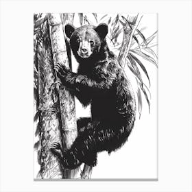 Malayan Sun Bear Cub Climbing A Tree Ink Illustration 4 Canvas Print