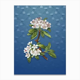 Vintage Almond Leaf Pear Botanical on Bahama Blue Pattern n.0116 Canvas Print
