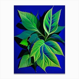 Borage Leaf Vibrant Inspired Canvas Print