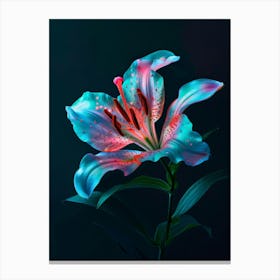 Lily Flower 1 Canvas Print