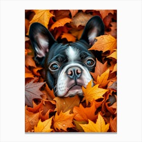 French Bulldog In Autumn Leaves Canvas Print