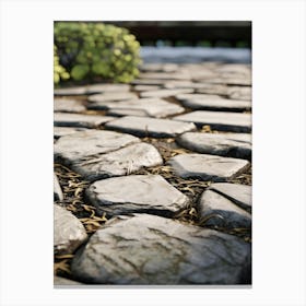 Stone Walkway Canvas Print