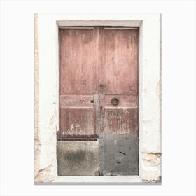 Old Wooden Door 1 Canvas Print