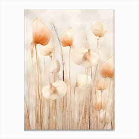 Boho Dried Flowers Flamingo Flower 3 Canvas Print