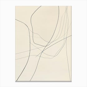 Lines And Lines Canvas Print