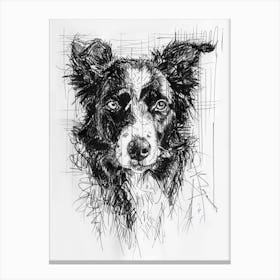Border Collie Dog Line Sketch 2 Canvas Print