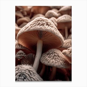 Mushroom Photography 1 Canvas Print