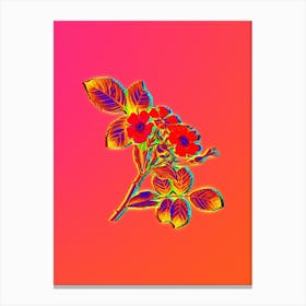 Neon Redleaf Rose Botanical in Hot Pink and Electric Blue n.0353 Canvas Print
